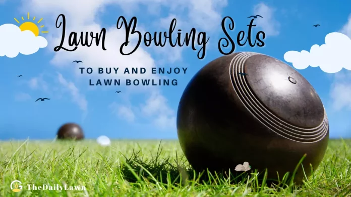 Best_Lawn_Bowling_Set_for_Quality_Sports_Time_on_the_Lawn