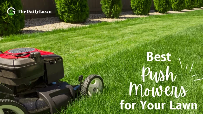 Best_Push_Mowers_for_Your_Lawn
