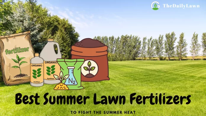 Best_Summer_Lawn_Fertilizers