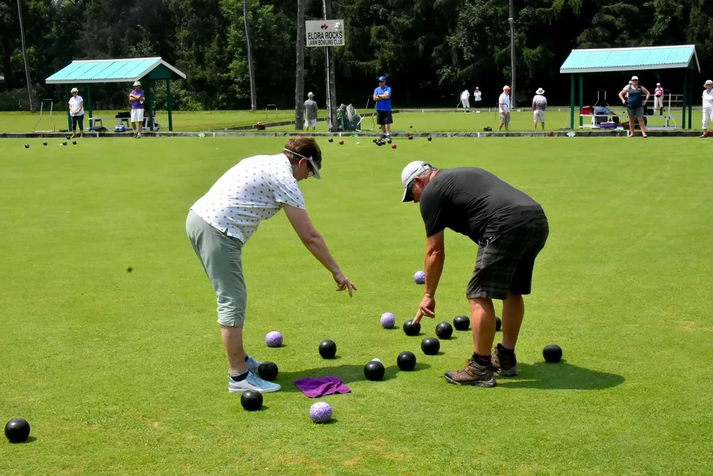 Types of Lawn Bowling Shots